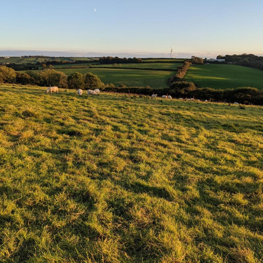Immaculate Bell Tent Retreat North Devon Bideford Exterior photo